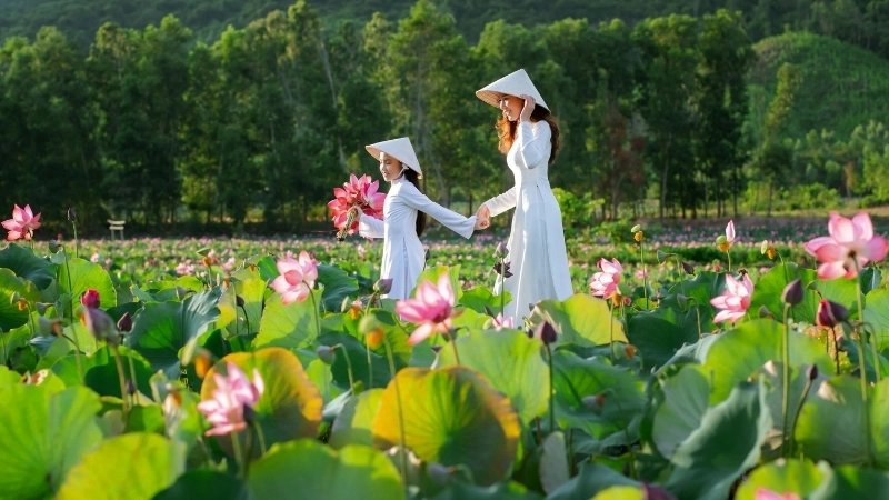  Học sinh học Quê hương, nét văn học Việt Nam