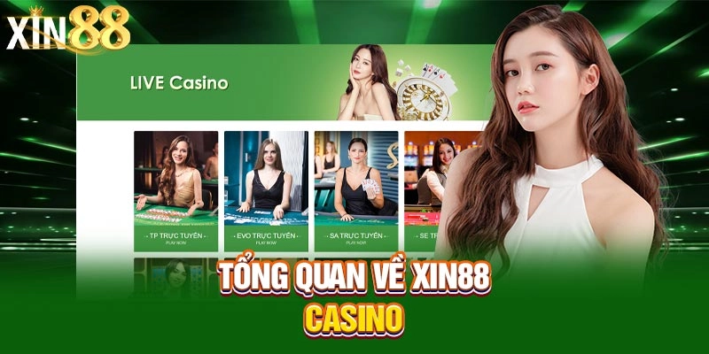Tổng quan về xin88 casino