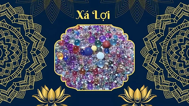 Xá lợi Phật là gì mà được tôn kính trong Phật giáo nhiều thế kỷ qua