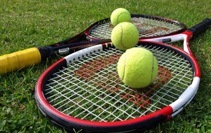 Tổng quan về cá cược tennis