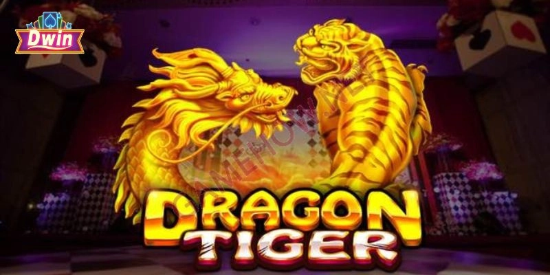 Chiến thuật chơi Rồng hổ Dwin giúp tăng cơ hội thắng