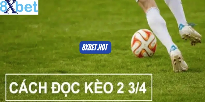 Tận Dụng Cược Live Để Gỡ Hoặc Tăng Lợi Nhuận