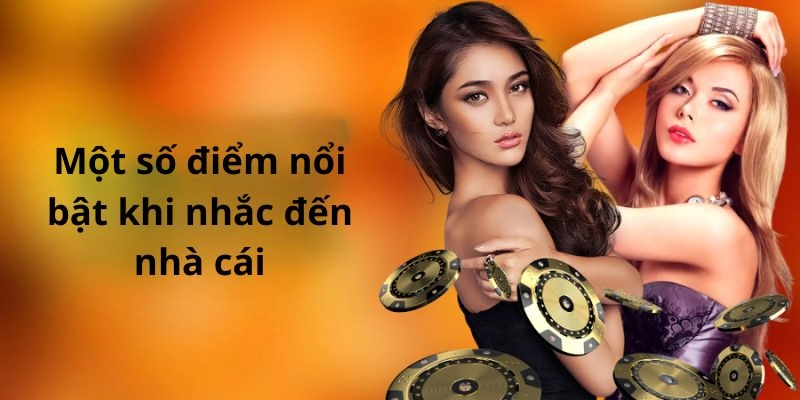 Những điểm nổi bật chỉ có tại trang web