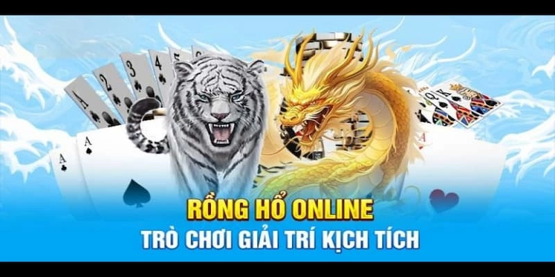 Khám phá sức hút không thể cưỡng của rồng hổ i9bet