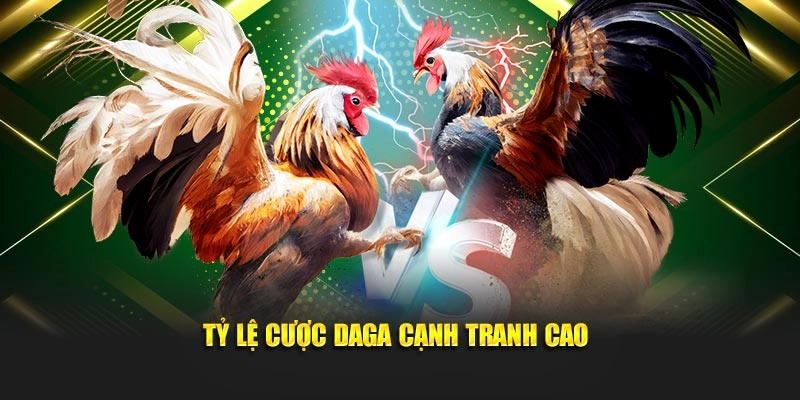 Tỷ lệ cược daga cạnh tranh cao