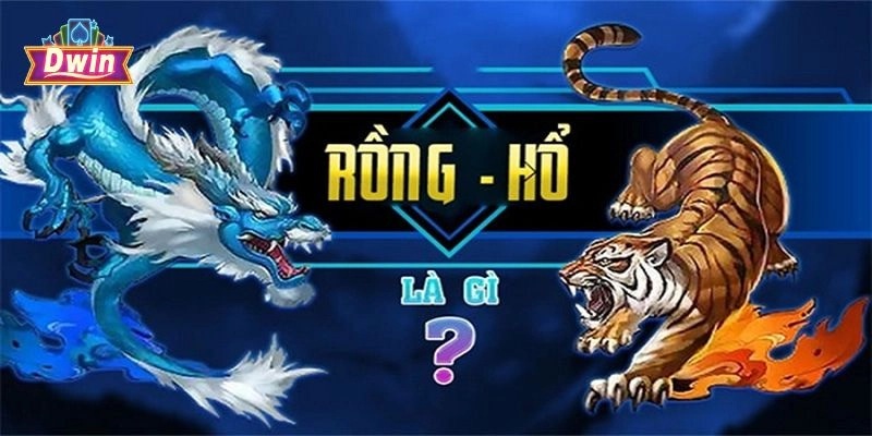 Tỷ lệ trả thưởng và cách tính điểm trong Rồng hổ Dwin