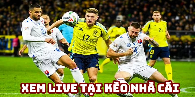 Bùng nổ live bóng đá – Xu hướng cá cược năm 2025