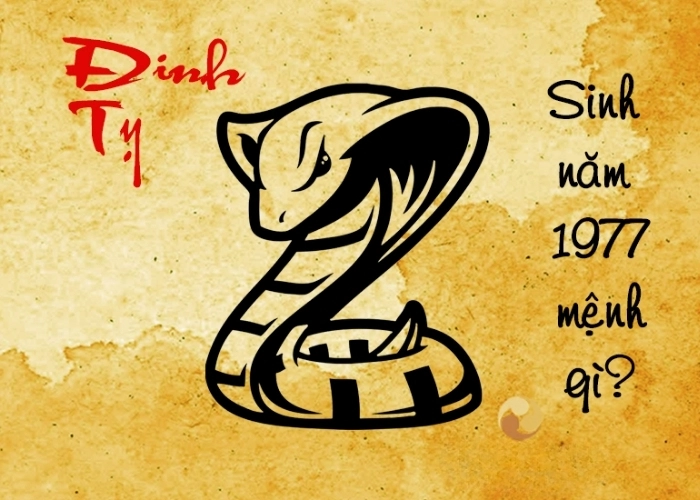 Khám phá sinh năm 1977 mệnh gì