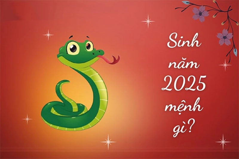 Khám phá người sinh năm 2025 mệnh gì ngay