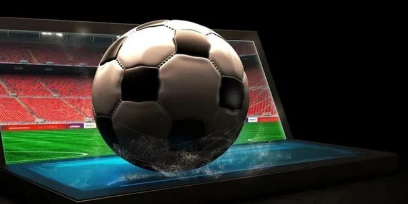 Nắm rõ thông tin cơ bản về trang cá độ bóng đá 7777 com 