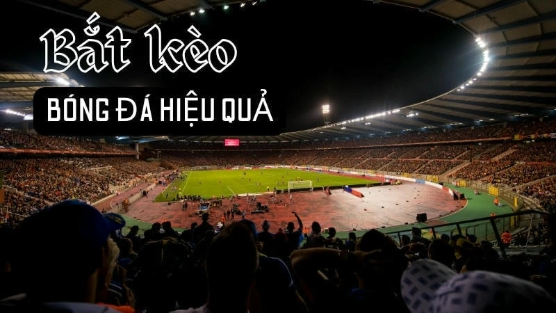 Minh họa kèo 0.5 trên nhận định kèo bóng đá, dễ hiểu cho người mới.