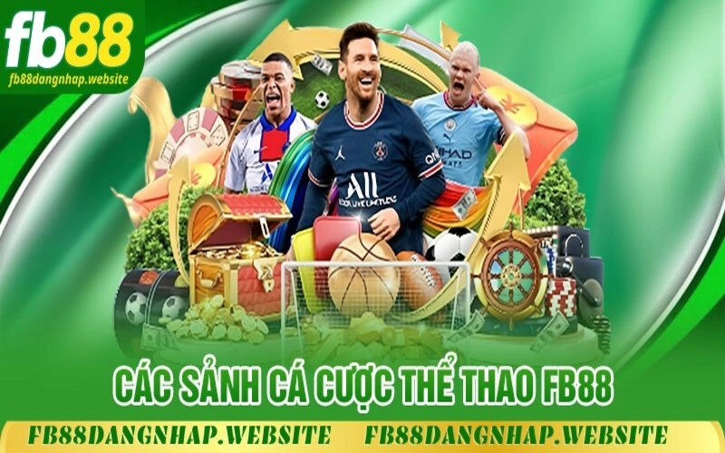 Cược theo hiệp đấu và cả trận