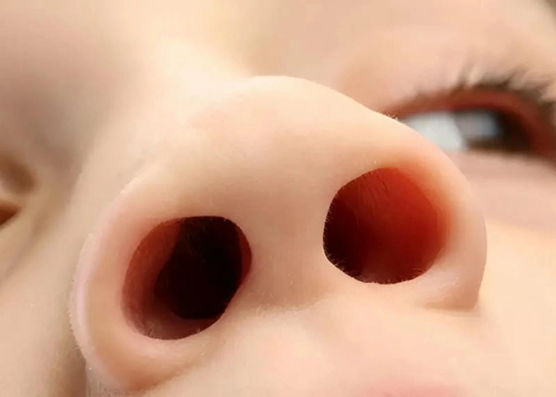 Khám phá lỗ mũi to nói lên điều gì về tính cách