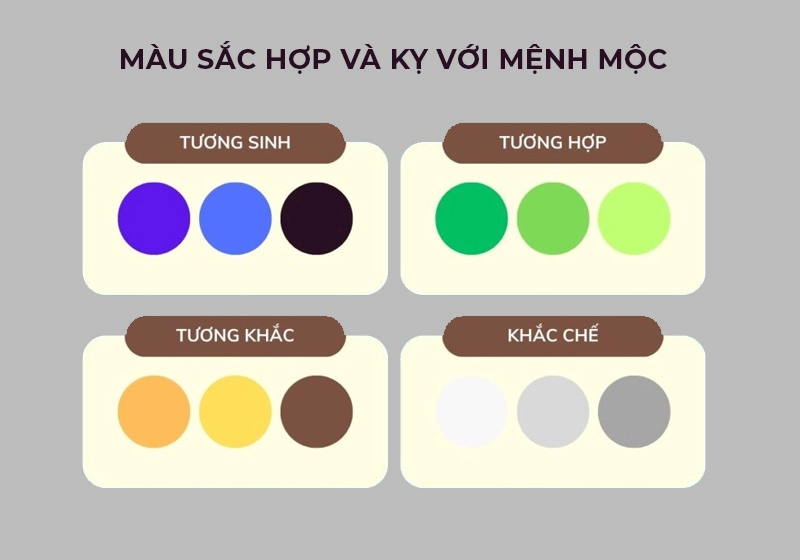 Bí quyết cách tận dụng sự tương hợp mệnh mộc giúp thu hút tài lộc
