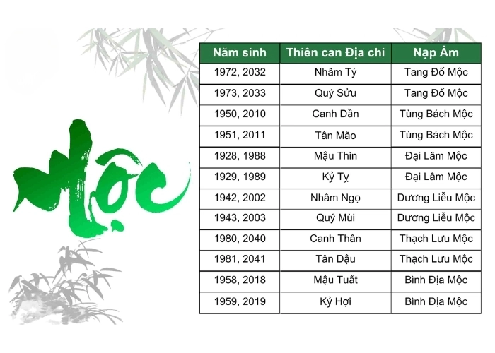 Tìm hiểu sâu hơn về mệnh Mộc là gì trong đời sống thường ngày
