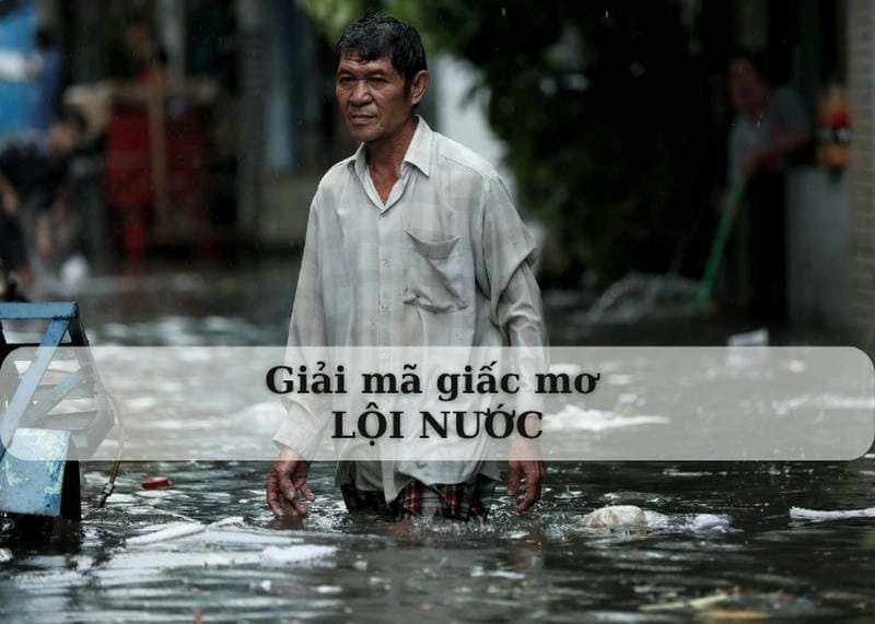 Khám phá giải mã chi tiết nằm mơ lội nước ý nghĩa