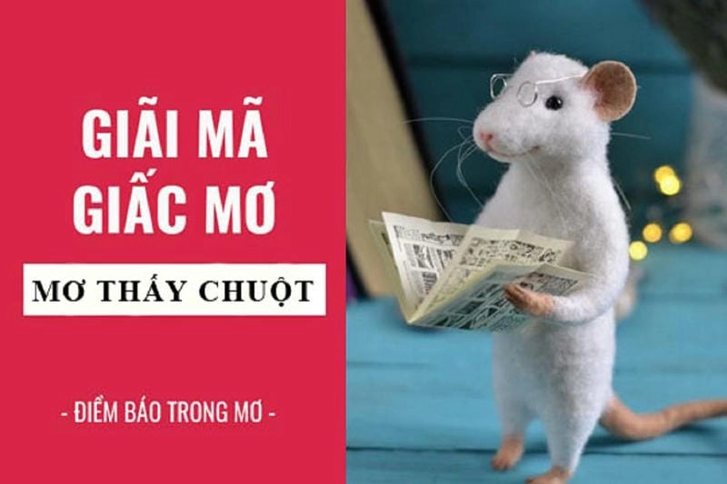 Khám phá ý nghĩa loài chuột là gì trong văn hóa và giấc mơ