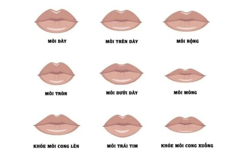 Các dáng môi tiết lộ tính cách