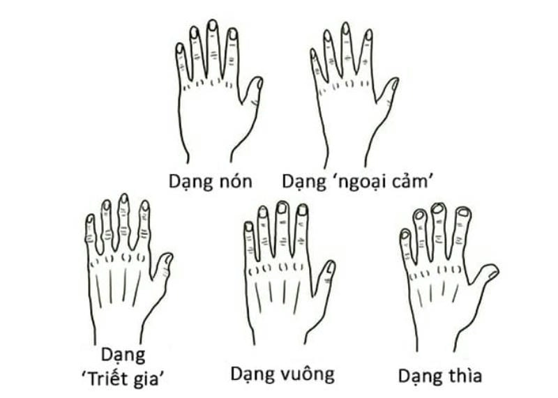 Giải mã đoán tính cách và vận mệnh qua ngón tay