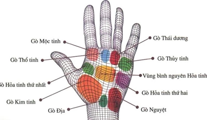 Khám phá ý nghĩa nhân tướng học của nốt ruồi trên tay
