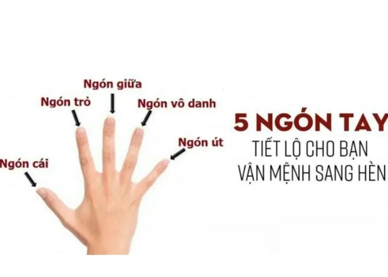 Khám phá nhân tướng học tướng ngón tay nói lên điều gì