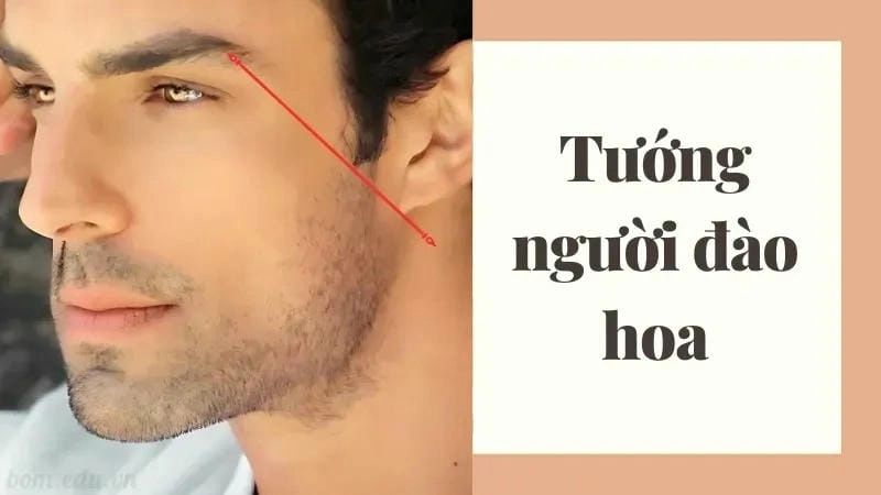 Khám phá nhân tướng học tướng người đào hoa có đặc điểm gì