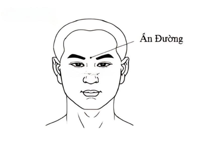 Khám phá nhân tướng học tướng người sát thê là gì