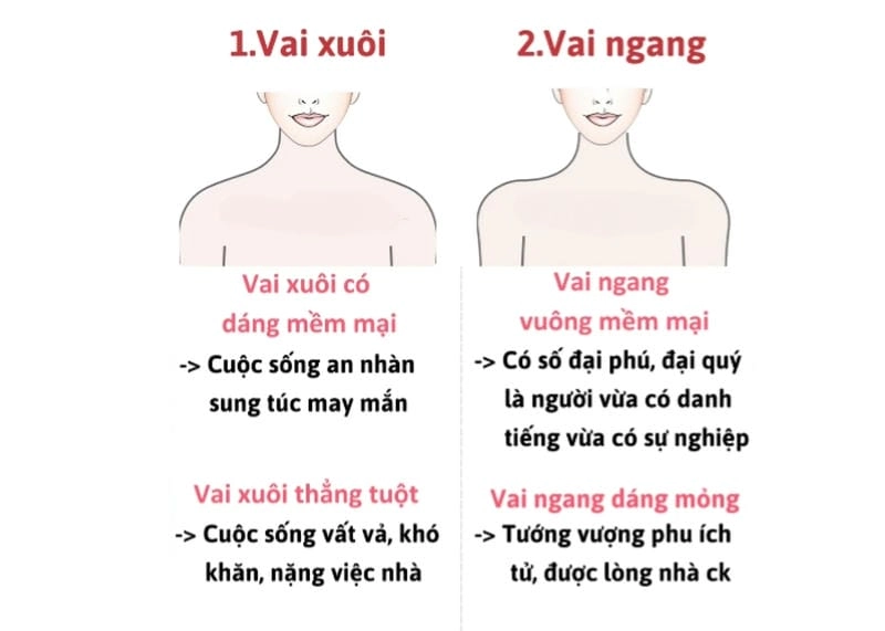 Giải mã các đặc điểm vai giúp dự đoán vận mệnh và sự nghiệp