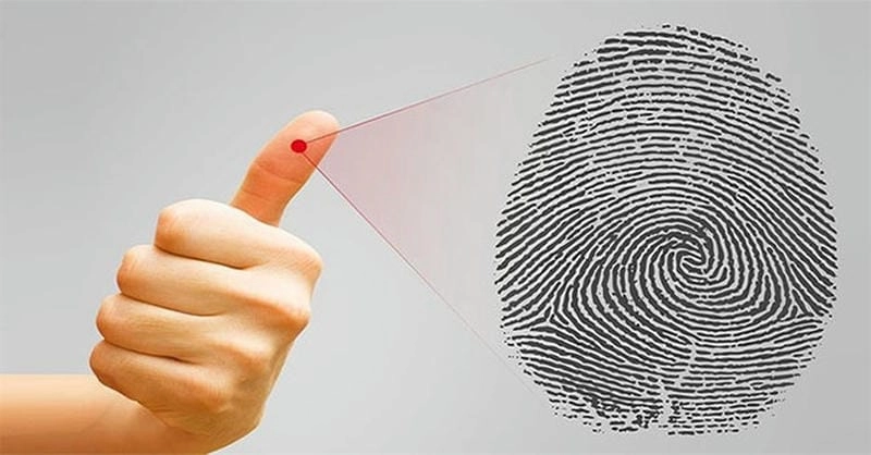 Khám phá khái niệm và ý nghĩa của vân tay