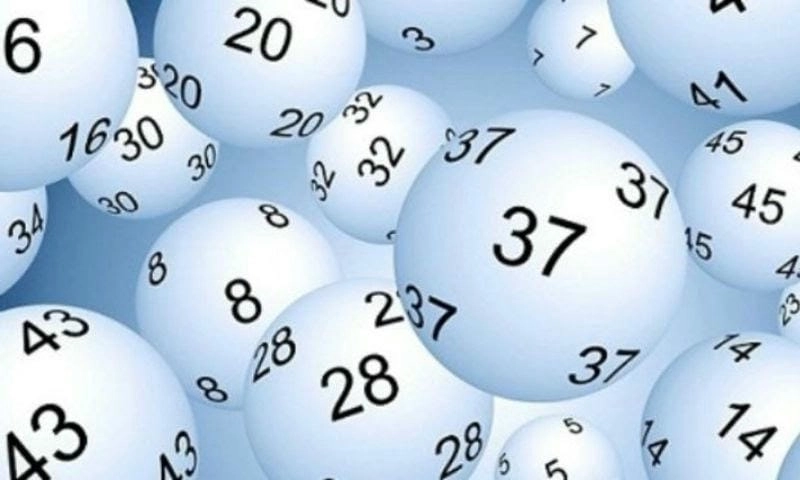 Tìm hiểu giải mã ong bay vào nhà đánh số gì dễ trúng