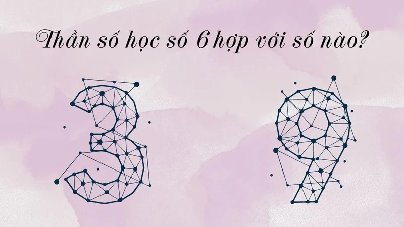 Cùng khám phá số chủ đạo 6 hợp với số nào trong hôn nhân và sự nghiệp