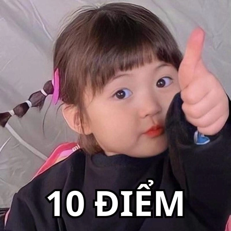 Đắm mình trong thế giới 10 điểm meme viral
