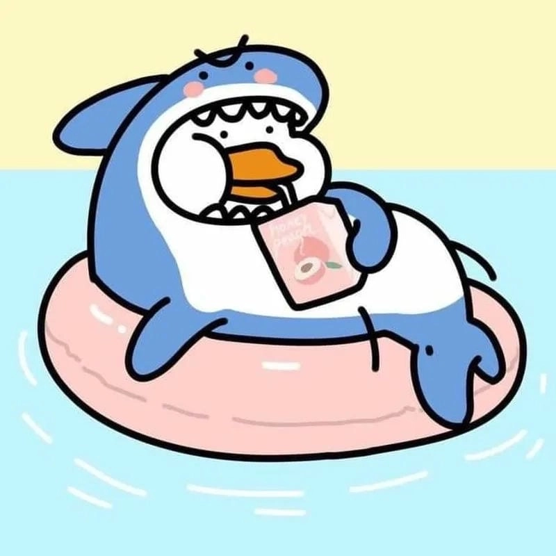 Khám phá lý do ảnh avatar con vịt được yêu thích