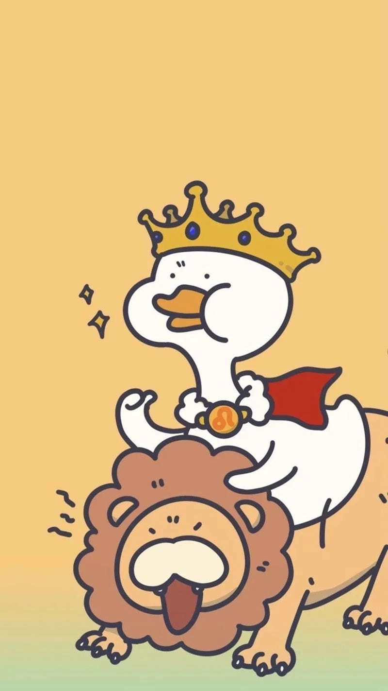 Chiêm ngưỡng hình nền vịt trắng đẹp