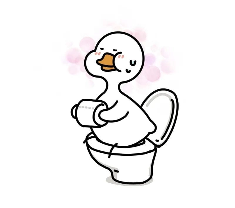 Gợi ý ảnh vịt trắng