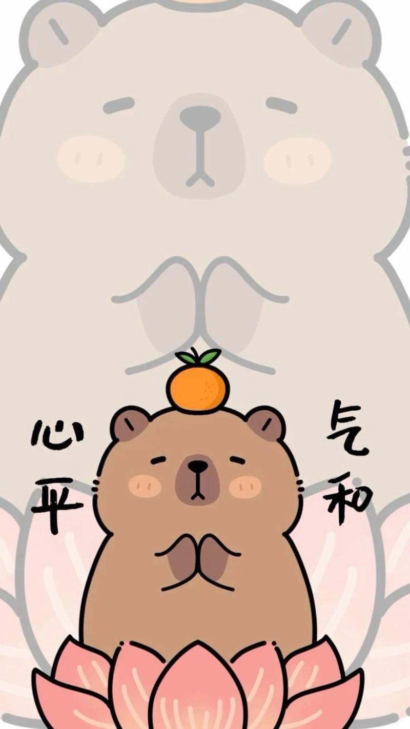 Cùng nhau tìm ảnh avatar hài