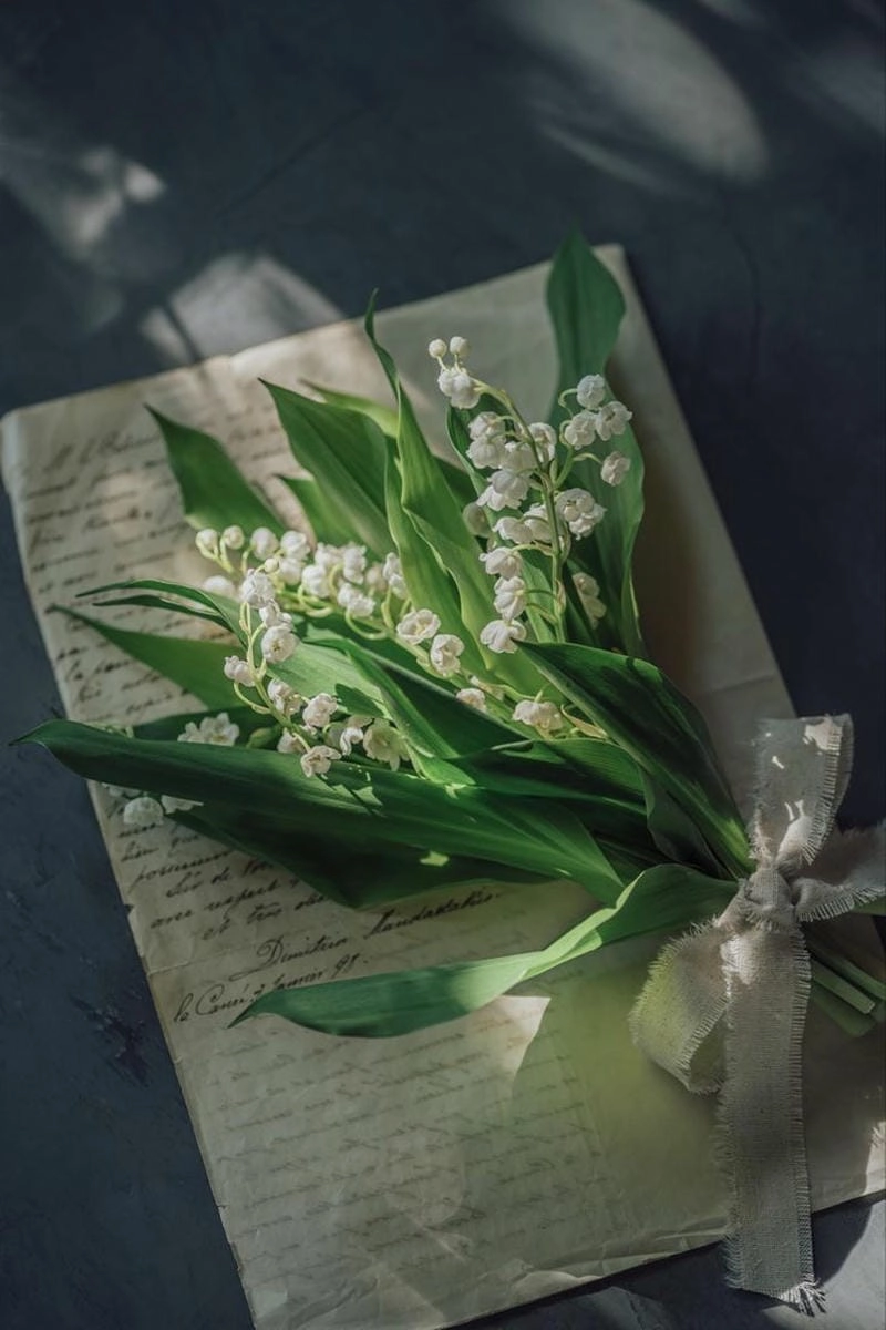 Tìm hiểu ý nghĩa của hoa linh lan