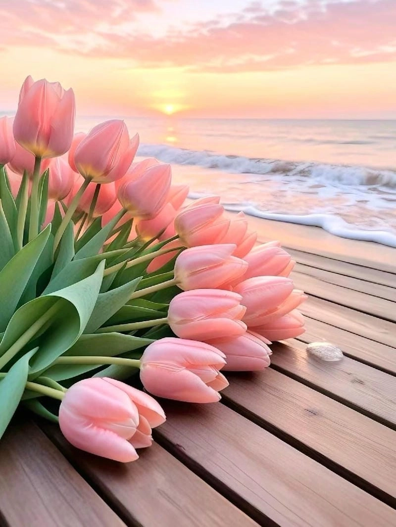 Bộ sưu tập hình nền hoa tulip cho điện thoại