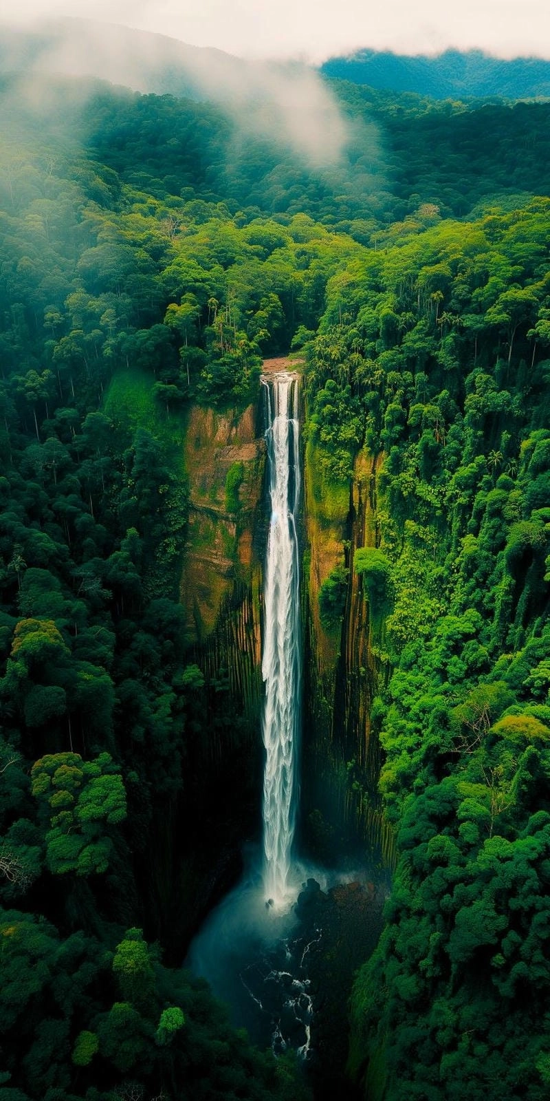 Khám phá lý do ảnh avatar thiên nhiên được yêu thích