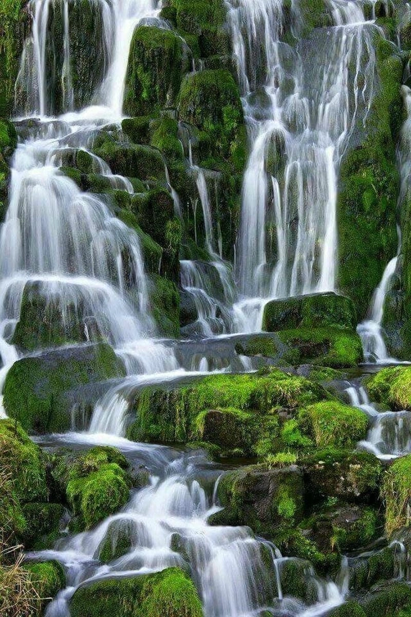 Tìm kiếm ảnh suối chảy