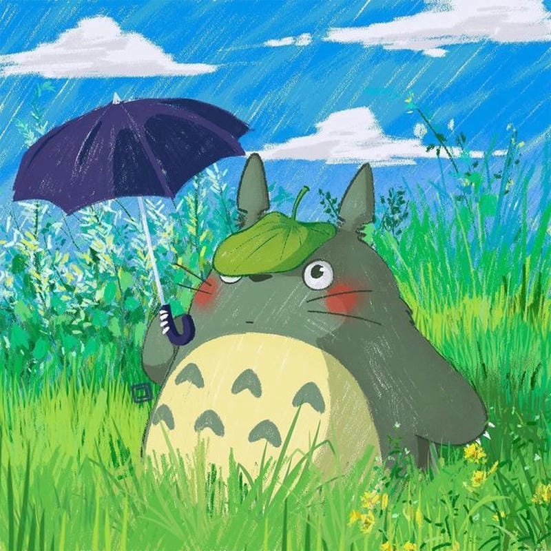 Tìm hiểu đôi nét giới thiệu về Totoro