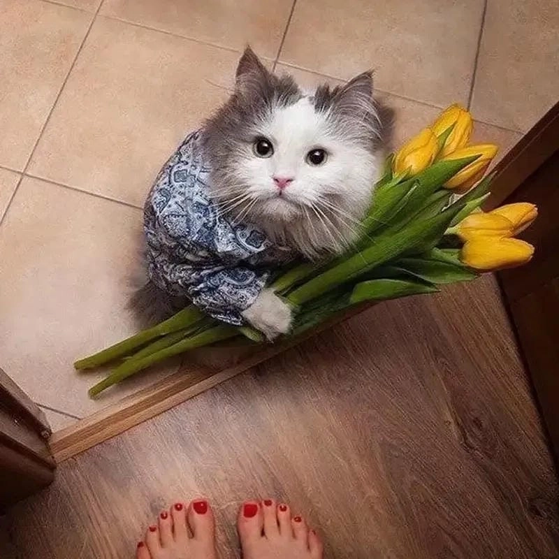 Tìm hiểu khái niệm meme tặng hoa là gì