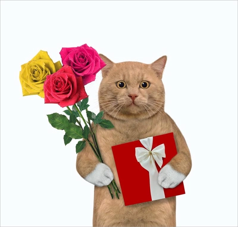 Chiêm ngưỡng vẻ đẹp tặng em bó hoa meme