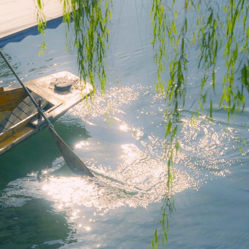Sưu tầm avatar tranh phong cảnh