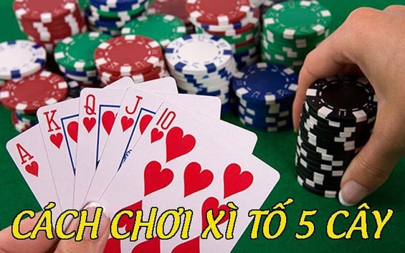 Các vòng cược trong xì tố 5 cây