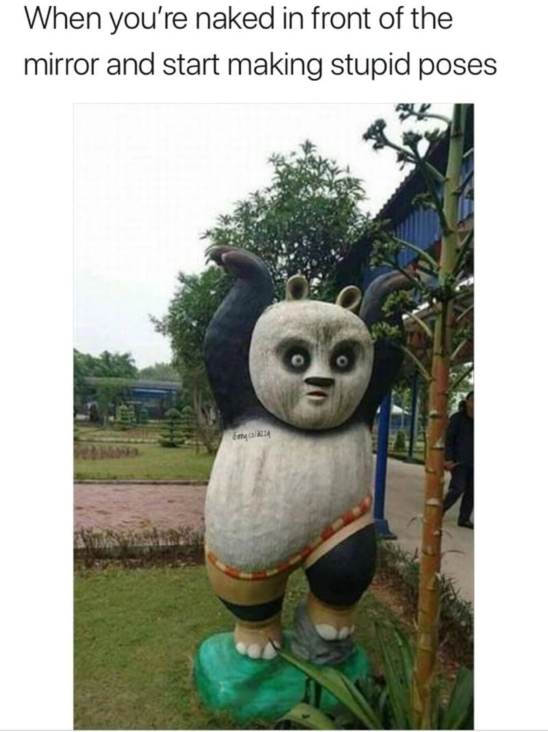 Gợi ý phong cách meme gấu trúc tức giận