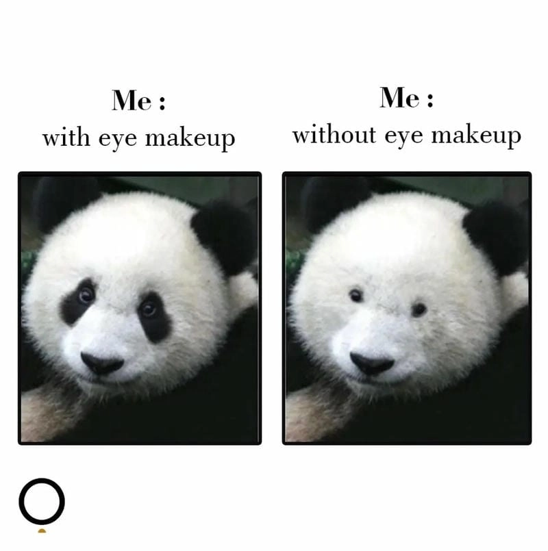Cười sảng với mắt gấu trúc meme