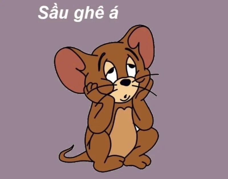 Chiêm ngưỡng vẻ đẹp chuột Jerry meme