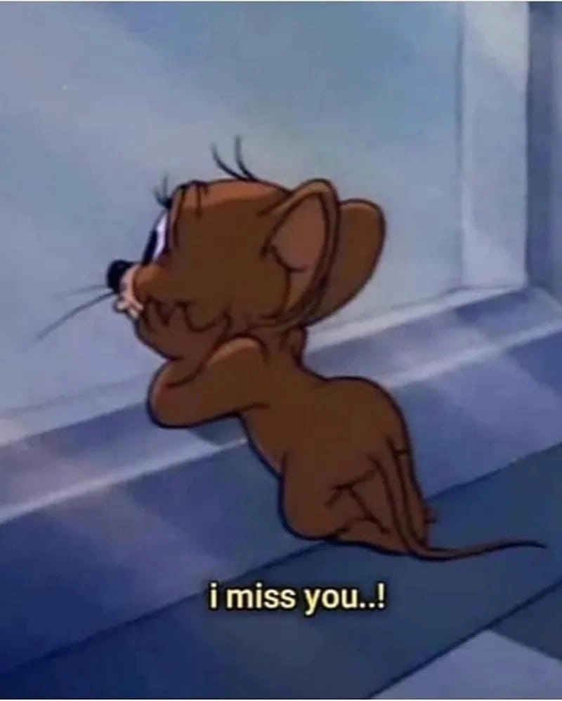Sưu tầm những khoảnh khắc Tom and Jerry meme
