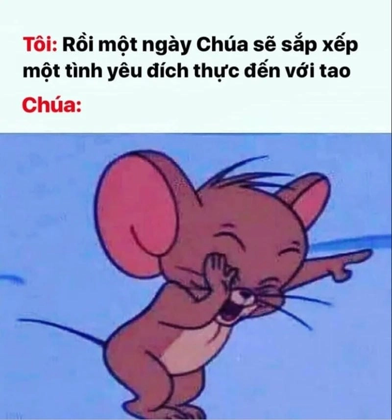 Cười sảng với funny Jerry meme